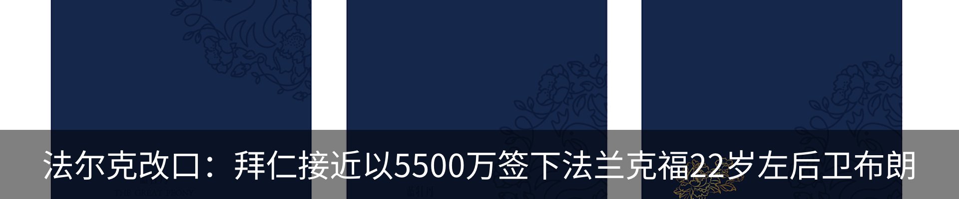 新闻动态
