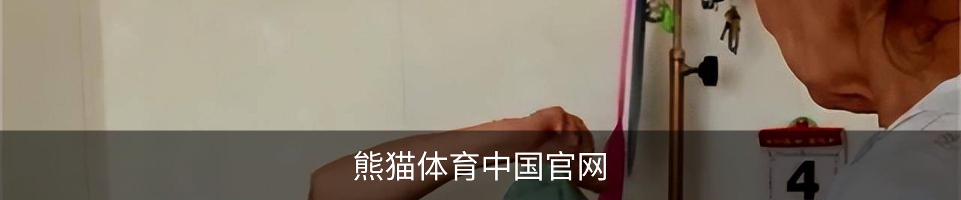 熊猫体育中国官网